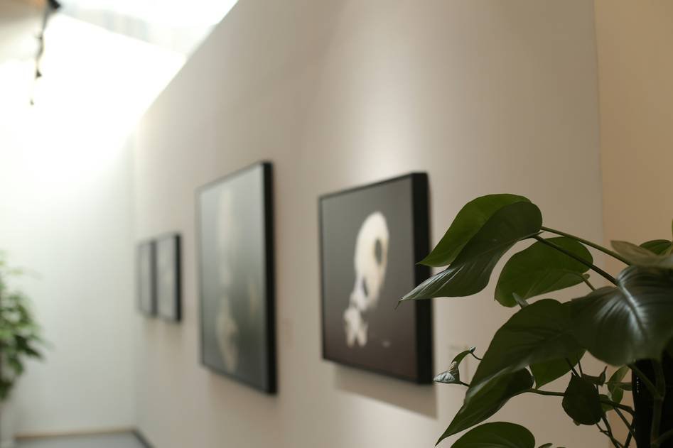 Minimal 3D wooden wall sculpture in a bright entryway