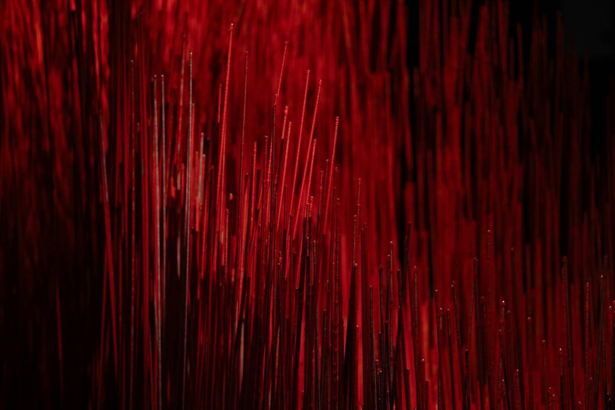 How to Create 3D Art for Your Home: A Hands-On Guide to Wall-Mounted Depth & Drama